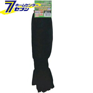 wobN O^Cv ubN M N-3086 R[RXM [A[Jo[ ƕ ƒ [N]