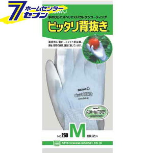 sb^w u[ M 260 V[O[u [Ǝ ׂ~ߎ ƕ ƒ [N]