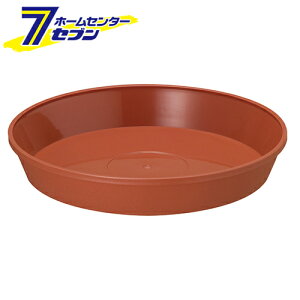 tO[v[g 30^p uE av [|pi ƒ뉀| v^[]