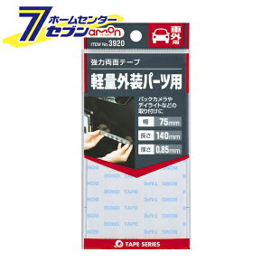 ͗ʃe[v iԊOpj 3920 G[H [ʃe[v J[pi ANZT[ eiX]