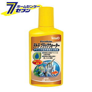 eg ubNEH[^[ 250cc XyNguWp [Wp   Ǘ ANAEpi]