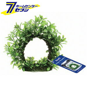 eg EH[^[[XS XyNguWp [l ANAE ANZT[]