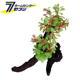 楽天市場 人工水草 流木の通販