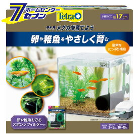 楽天市場 めだか 水槽セットの通販