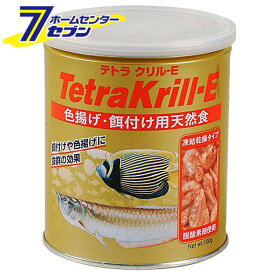 楽天市場 熱帯魚 大型魚の通販 楽天市場 熱帯魚 大型魚の通販