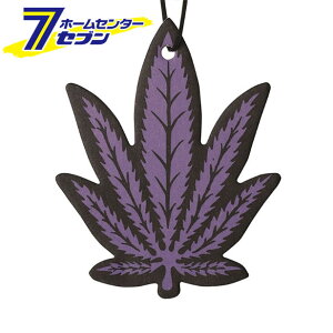 wv GA[tbVi[ AXB[g NAX-051-005 j[A[NX [F ݂艺 J[ANZT[ gC]