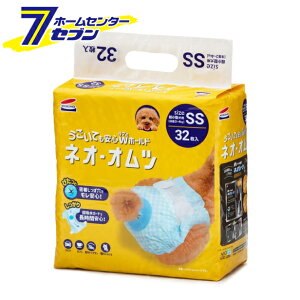 lIEIc SSTCY 32 R[`[ [ybgpIc ނ]