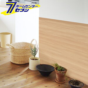 aOrA \Ă͂ǎV[g  ꖇ 250cm×90cm WAS-202 BE [ǎ EH[ h ͗lւ CNV[g mx[V V[ fR[V \ ȒP DIY S]