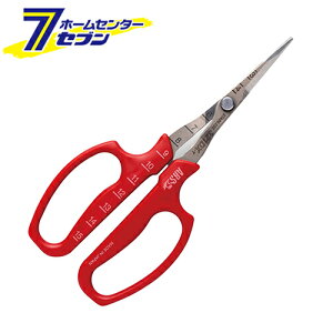 AX ԂǂE niBPj 321DX-T-BP [np uhE |pi]