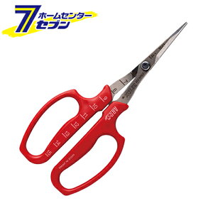 AX ԂǂE \niBPj 321DX-M-BP [np uhE |pi]