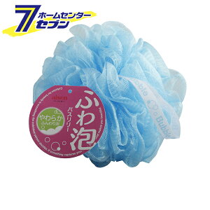 ACZ oX[ u[ BQ586 [{fBEHbVpi oXX|W {fBX|W ̐ aise]