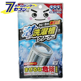 レック 激落ちくん 泡立つ洗濯槽クリーナー S00852 [消臭 塩素 塩素系 洗剤 洗たく 洗たく機 除菌ドラム式 洗たく槽]