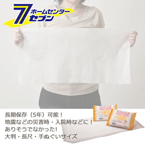 炾ӂ {fB^I 唻TCY 300x600mm (12) Tj^N[ BW-580 [ ʂTCY EFbgeBbV EGbg^Cv ۊ5N 傫  F mAR[]