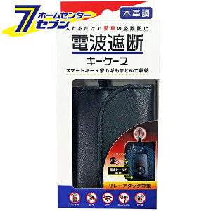 ԗp dgՒfX}[gL[P[X U[ ubN WA55 [X}[gL[p h~ Jri J[pi ZC]