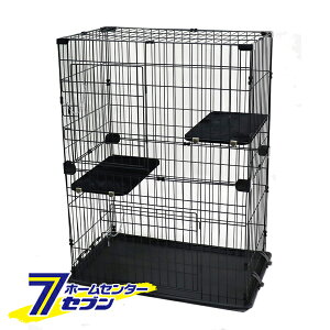 LbgP[W 2i ubN [Q[W T[N LpnEX Lpi  XX]