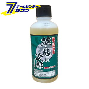  ͂ꎟY 500ml _knp [͏ ͂炵 G  | VZC]