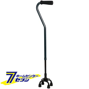 4_ łXebLiېŁj O[ CAM03-GY [4_ VjA  s⏕ sx pi Ka쏊]