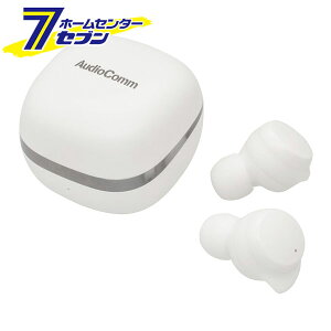 ���S���C�����X�C���z�� �z���C�g �i�i�ԁj03-2887 HP-W430N-W [AV�����E�J�����p�i:���C�����X�C���z�� �I�[���d�@]