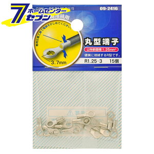 ی^[q R1.25-3 15 iiԁj09-2416 DZ-R1.25-3/A15 [q[YE[q:ی^[q I[d@]