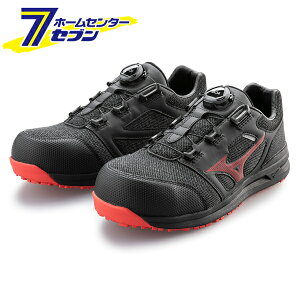 ~Ym I[}CeB [NV[Y 22cm ubN×bh LSII 52 L BOA F1GA220209220 [[LO Xj[J[ jZbNX [Jbg _CC y]