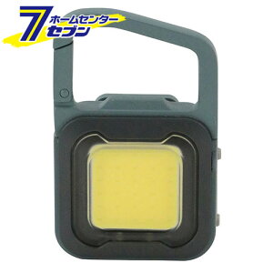 yő400~ItN[||CgUPz[dX[p[tbVCg6W OCbVu[ COB-WL006GB [^p Ɨp ԗp Ɠ AEghA h ̓}Olbg Nbvt TV]