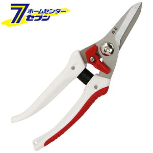 y|Cg5{zK[f ؙ SGP-57 [^  }t } bN@\ K[fjO g]y|CgUP:2025N111410:00`1116 23:59܂Łz