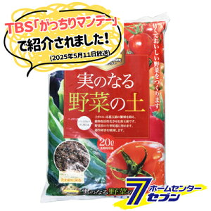 yő400~ItN[||CgUPẑȂ؂̓y 20L [1 y |p |{y ؑS ʂ̑  TXeireB gRf}911 nɂ₳ }f[ Ε