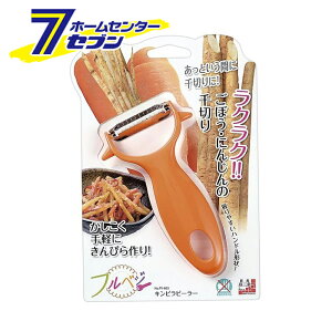 txW Lss[[ FV-603 H [Lb`pi   S{E ڂ jW ɂ񂶂 lQ ؂ ȒP]