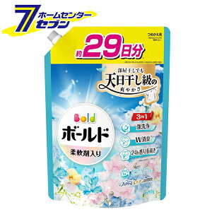 {[hWF u₩Ђ܂ƃtbVT{̍ l 690g { P&G [ L _ܓ t̐]