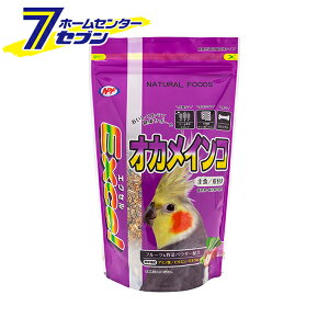 GNZ IJCR t { 500g i`ybgt[Y [炠 IJCRp a H ʕ ؃ybgt[h]