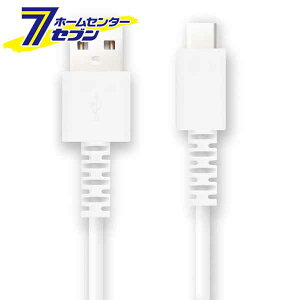 Type-CP[u 0.2m zCg FE-UAC020-WH [P[u USB  FSC]
