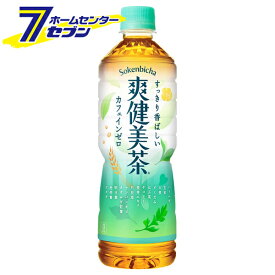 コカ・コーラ 爽健美茶 PET 600ml 48本 【2ケース販売】 [お茶 お茶飲料 清涼飲料水 ソフトドリンク コーラ コカコーラ]