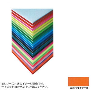 ARTE(アルテ) ニューカラーボード デザインボード 5mm 3×6(900×1800mm) ルミナオレンジ 5CB-3x6-FM【メーカー直送:代金引換不可:同梱不可】【北海道・沖縄・離島は配達不可】