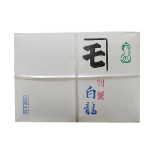 ãCVJ ȗp  1000 HK-HAKURYU1000y[J[FsFszykCEE͔zBsz