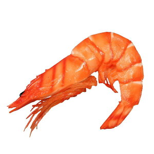 {El HiTv }Olbg j IP-823y[J[FsFszykCEE͔zBsz