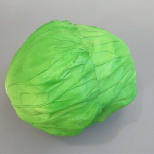 {El HiTv VNELxc IP-247y[J[FsFszykCEE͔zBsz