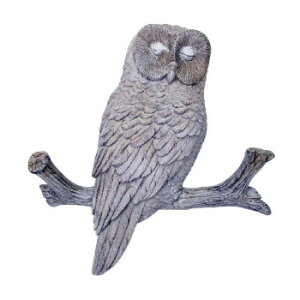 AeB[NIuWF ӂ낤 11104y[J[FsFszykCEE͔zBsz