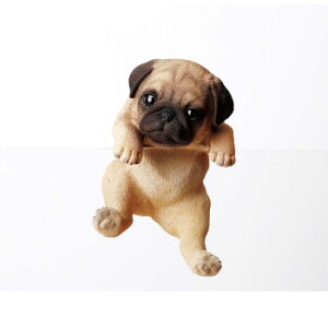 hbOI[ig(pO)@14209y[J[FsFszykCEE͔zBsz