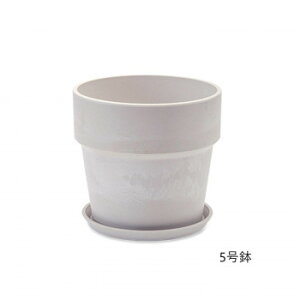 A[ovc|bg ~N 81112y[J[FsFszykCEE͔zBsz