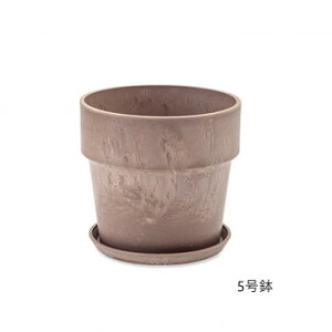 A[ovc|bg Vi 81113y[J[FsFszykCEE͔zBsz