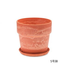 A[ovc|bg Lbg 81118y[J[FsFszykCEE͔zBsz