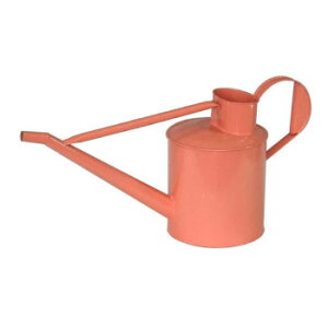 WE sN 81597y[J[FsFszykCEE͔zBsz