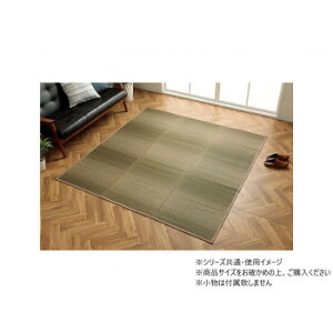 �������O �J�[�y�b�g NS�i�Z�� 180×240cm GN 1061950124104�y���[�J�[�����F��������s�F�����s�z�y�k�C���E����E�����͔z�B�s�z