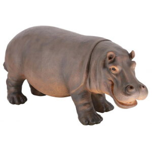 I[ig Jo  14194y[J[FsFszykCEE͔zBsz