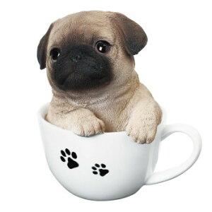 hbOI[ig(pO)@14091y[J[FsFszykCEE͔zBsz