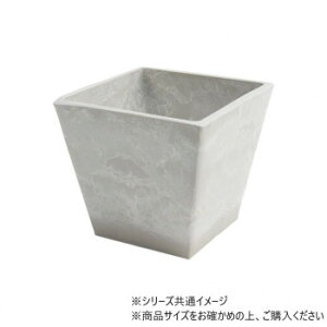 SKXNGA|bg 20xH18 ~L[E3d00021MLy[J[FsFszykCEE͔zBsz