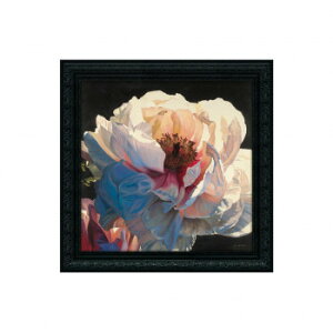 WF[X EB[Yu[jO O[v@JW-15010y[J[FsFszykCEE͔zBsz