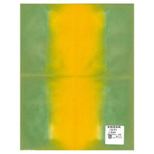 a(L)@480×310mm@10 I-549 1 Zbgy[J[FsFszykCEE͔zBsz
