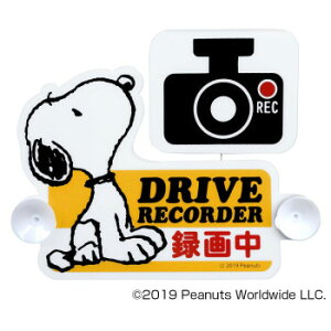 SNOOPY Xk[s[ hCuR[_[XCOTC SN80yz@:[/s/s/wszykCEE͔zBsz