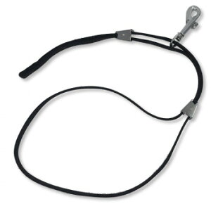 g~O[h@ 009052y[J[FsFszykCEE͔zBsz